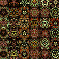 Asclepiads 6x8