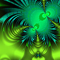Binary Star Stingers 