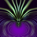 Spider Orchid Mandala